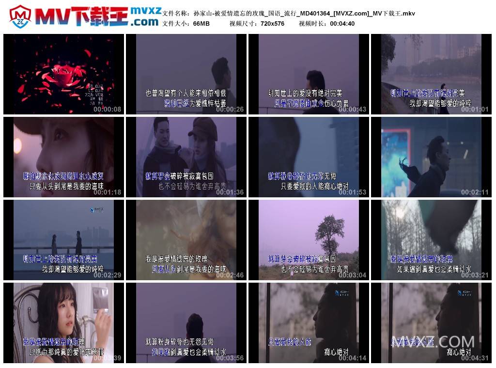 孙家山-被爱情遗忘的玫瑰_国语_流行_MD401364